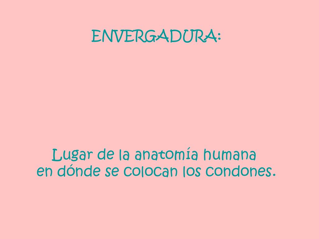 Lugar de la anatomía humana en dónde se colocan los condones.