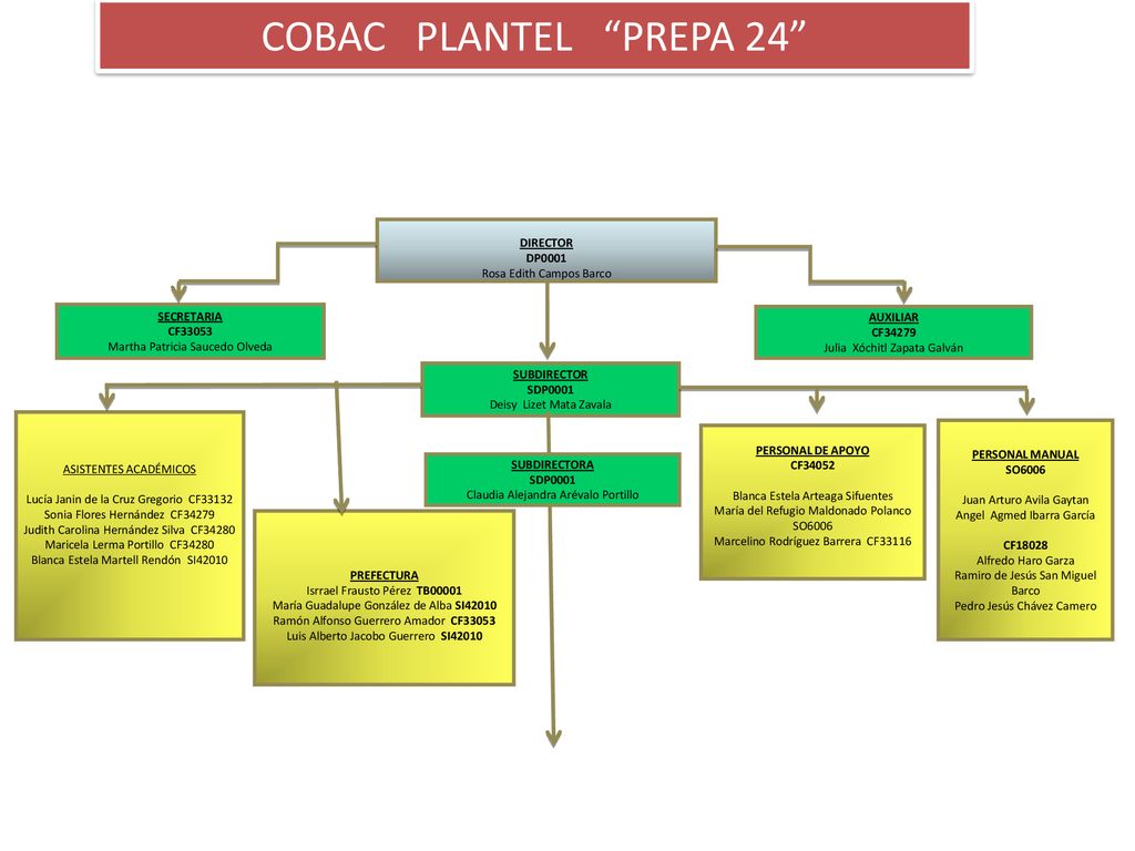 COBAC PLANTEL PREPA 24 DIRECTOR DP0001 Rosa Edith Campos Barco