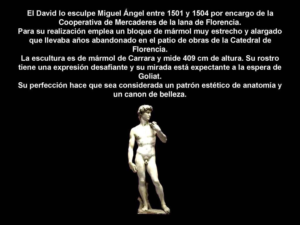 El David lo esculpe Miguel Ángel entre 1501 y 1504 por encargo de la Cooperativa de Mercaderes de la lana de Florencia.