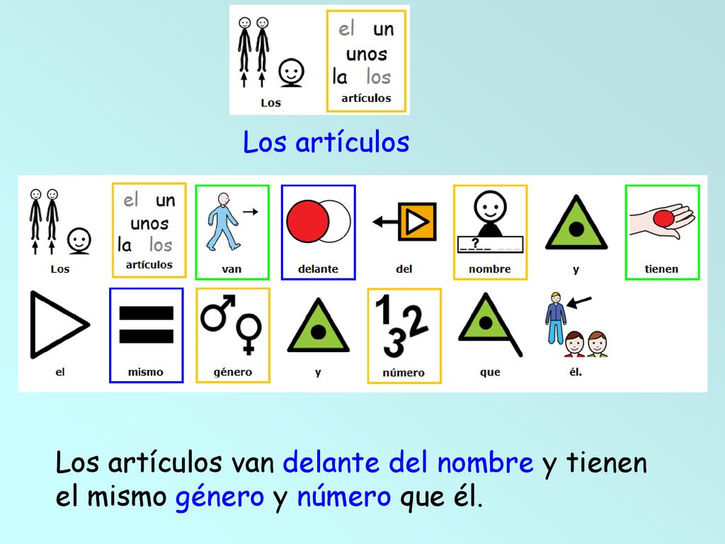 Los artículos Los artículos van delante del nombre y tienen el mismo género y número que él.
