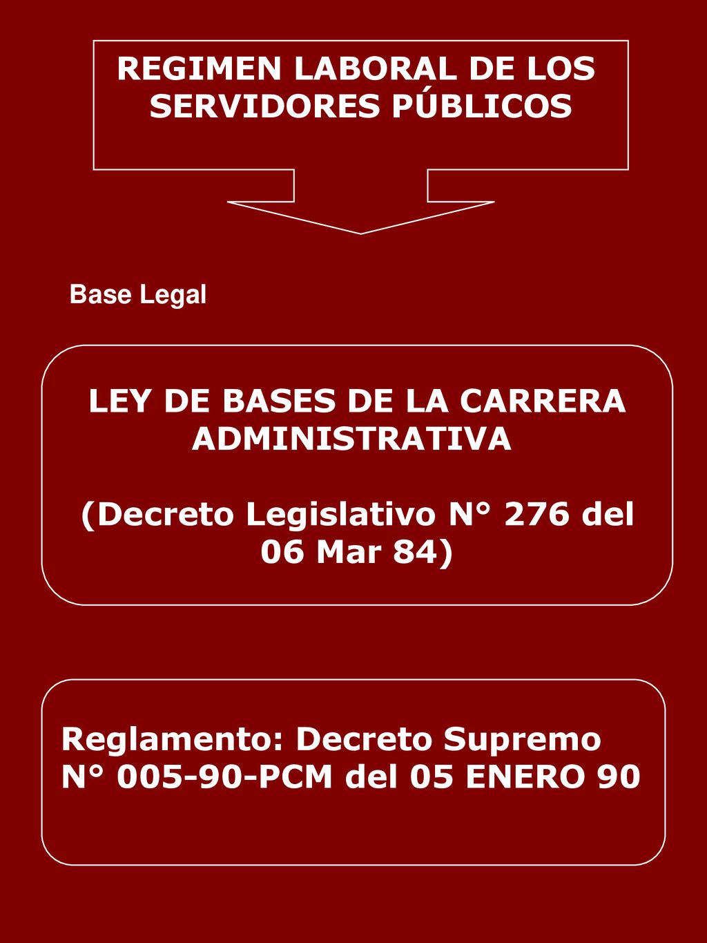LEY DE BASES DE LA CARRERA (Decreto Legislativo N° 276 del