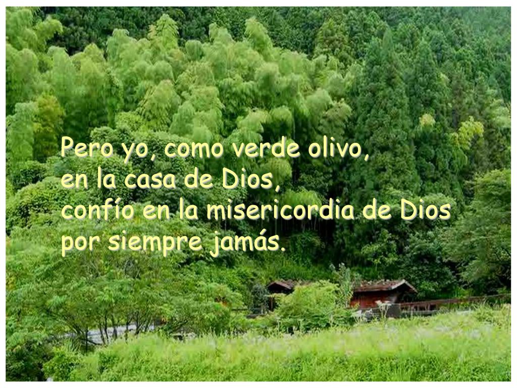 Pero yo, como verde olivo, en la casa de Dios, confío en la misericordia de Dios por siempre jamás.