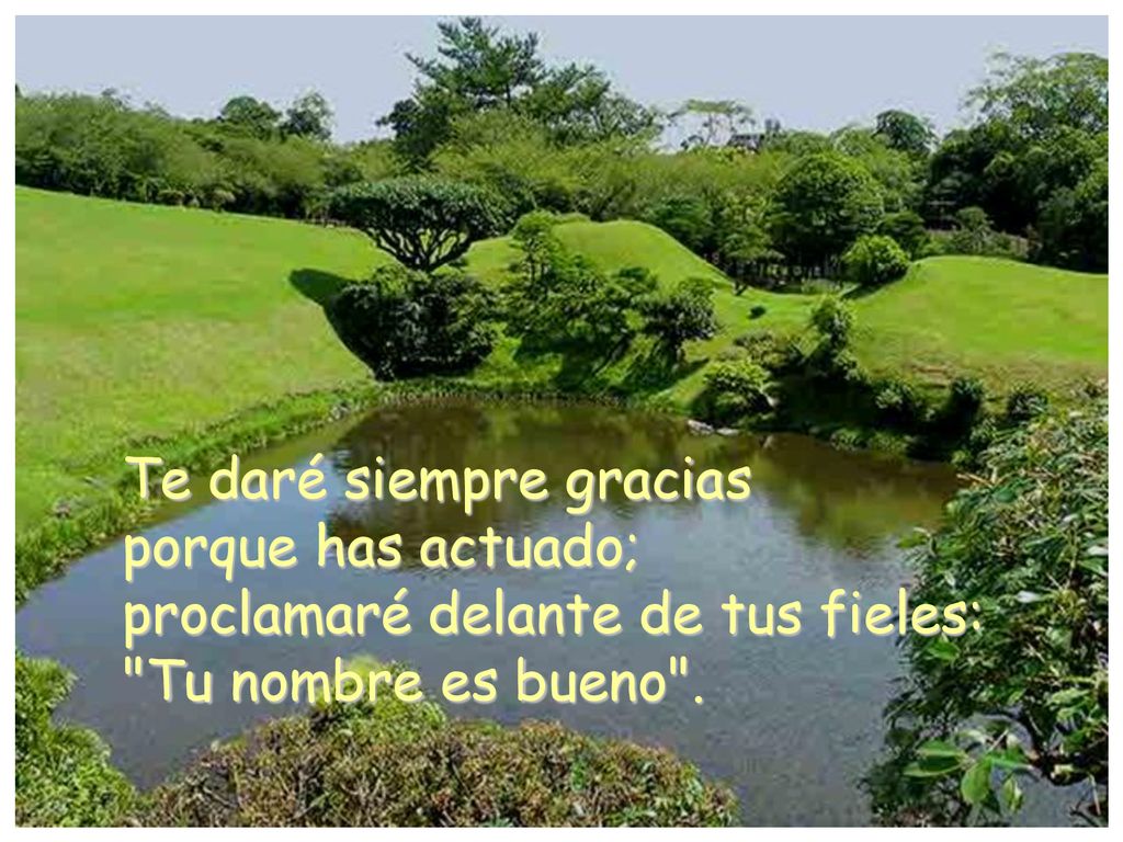Te daré siempre gracias porque has actuado; proclamaré delante de tus fieles: Tu nombre es bueno .