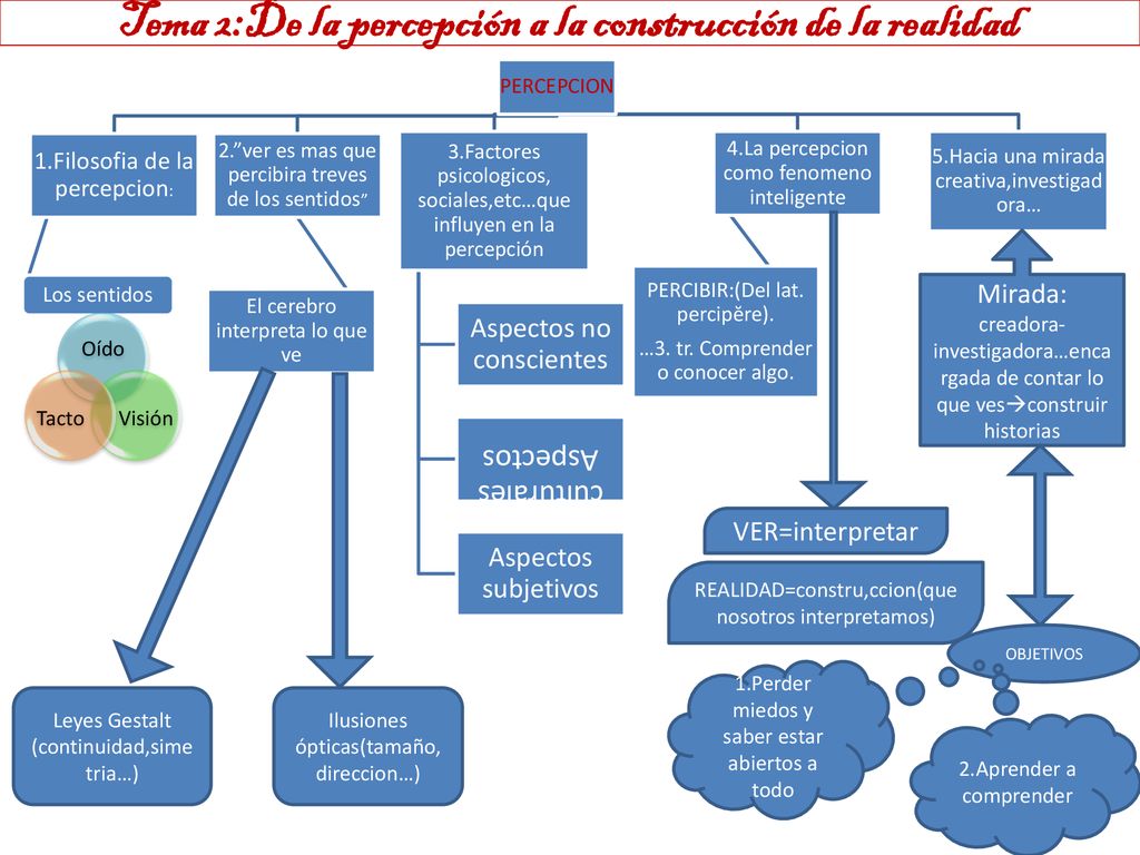 Tema 2:De la percepción a la construcción de la realidad