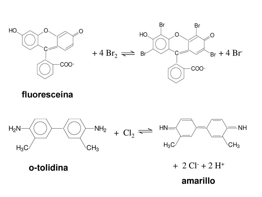 + 4 Br2 + 4 Br- fluoresceína + Cl2 o-tolidina amarillo + 2 Cl- + 2 H+