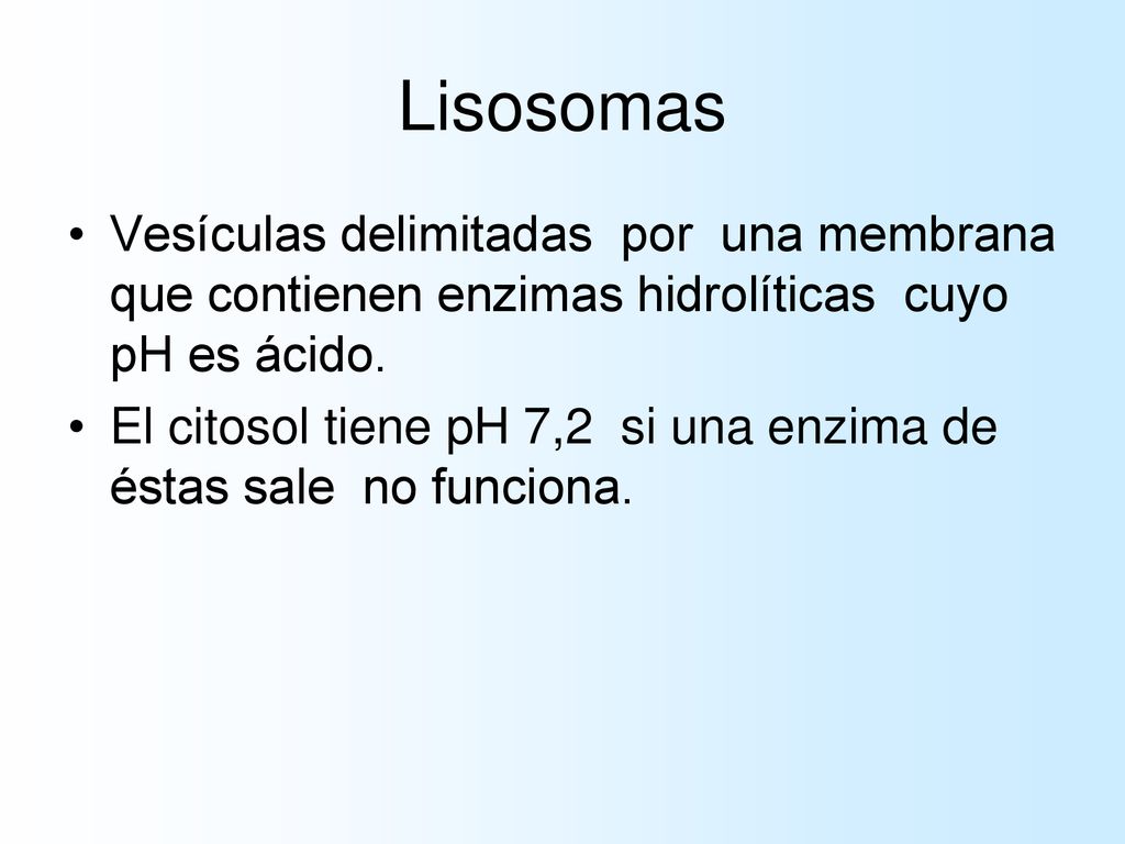 Lisosomas Vesículas delimitadas por una membrana que contienen enzimas hidrolíticas cuyo pH es ácido.