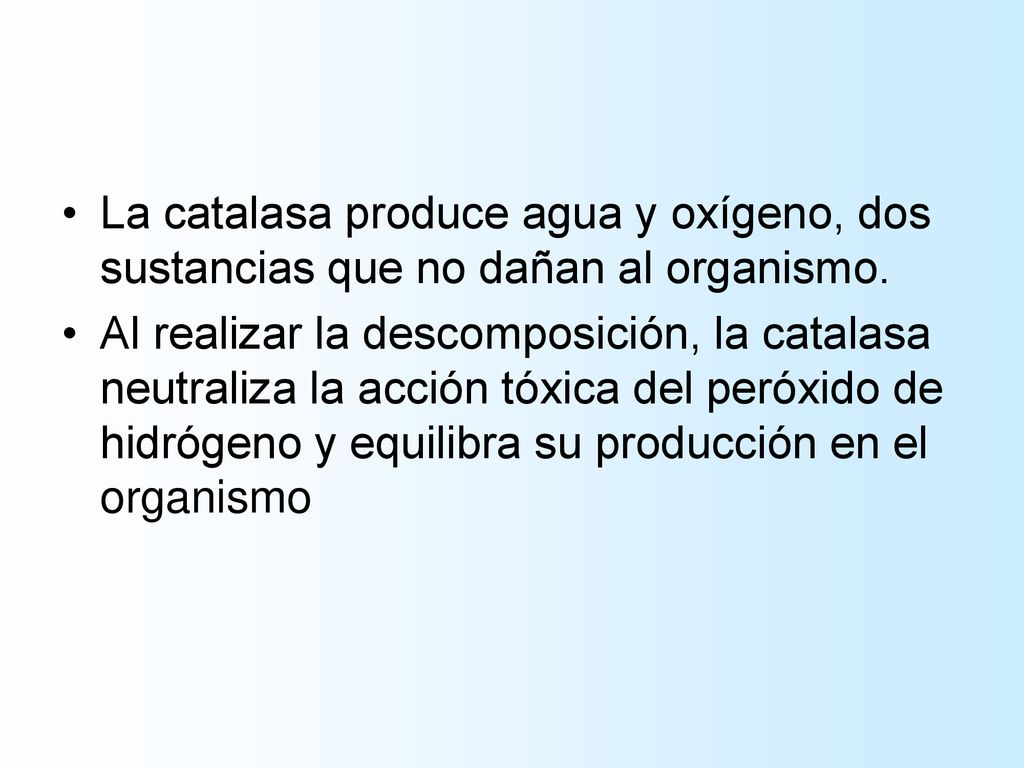 La catalasa produce agua y oxígeno, dos sustancias que no dañan al organismo.