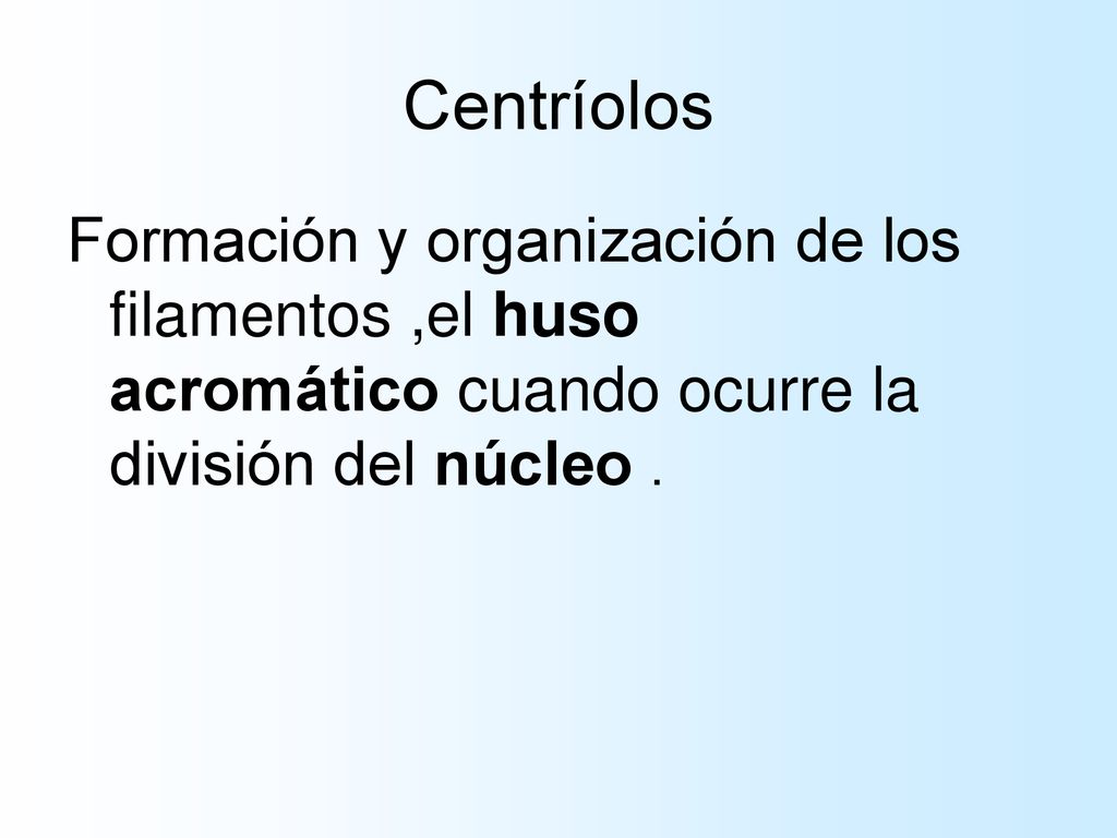 Centríolos Formación y organización de los filamentos ,el huso acromático cuando ocurre la división del núcleo .