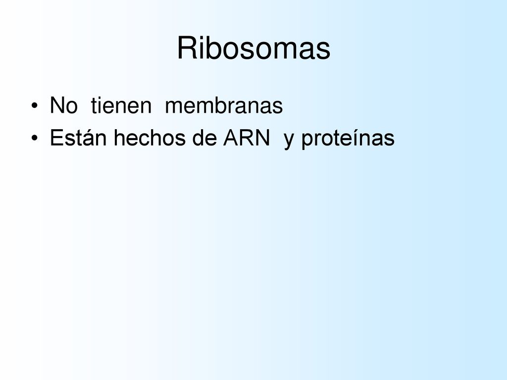 Ribosomas No tienen membranas Están hechos de ARN y proteínas