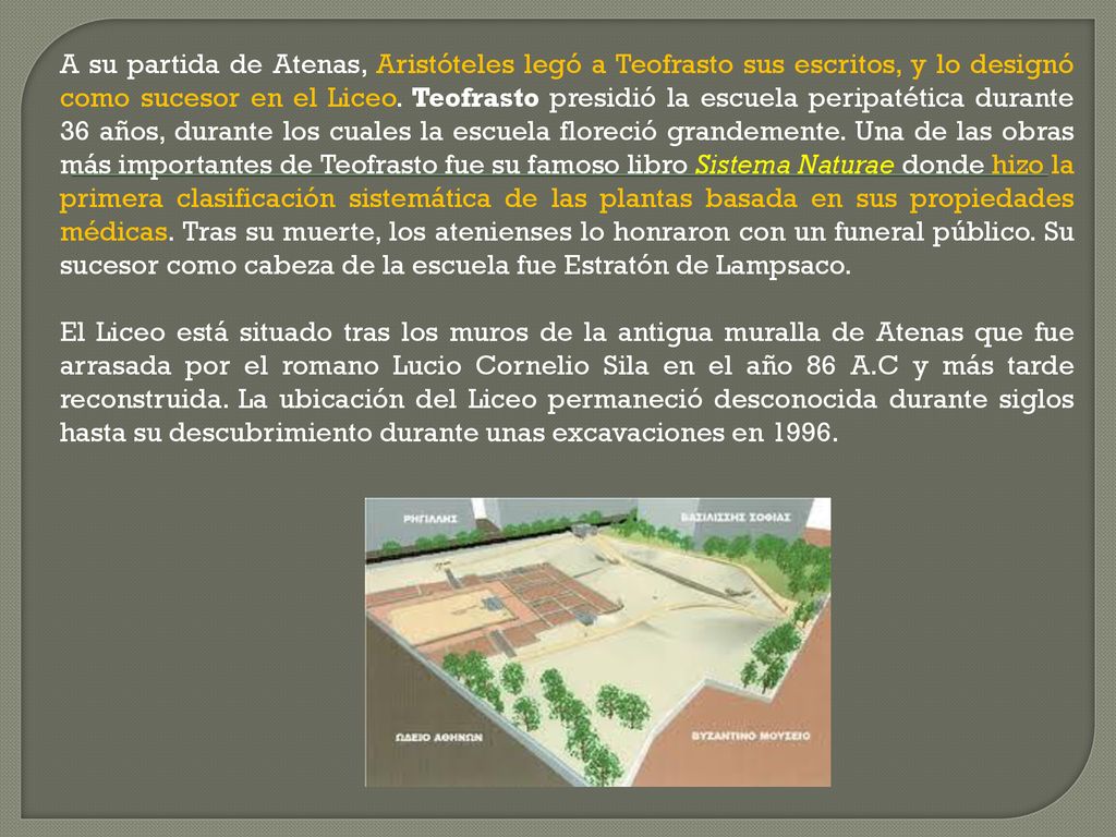 A su partida de Atenas, Aristóteles legó a Teofrasto sus escritos, y lo designó como sucesor en el Liceo. Teofrasto presidió la escuela peripatética durante 36 años, durante los cuales la escuela floreció grandemente. Una de las obras más importantes de Teofrasto fue su famoso libro Sistema Naturae donde hizo la primera clasificación sistemática de las plantas basada en sus propiedades médicas. Tras su muerte, los atenienses lo honraron con un funeral público. Su sucesor como cabeza de la escuela fue Estratón de Lampsaco.