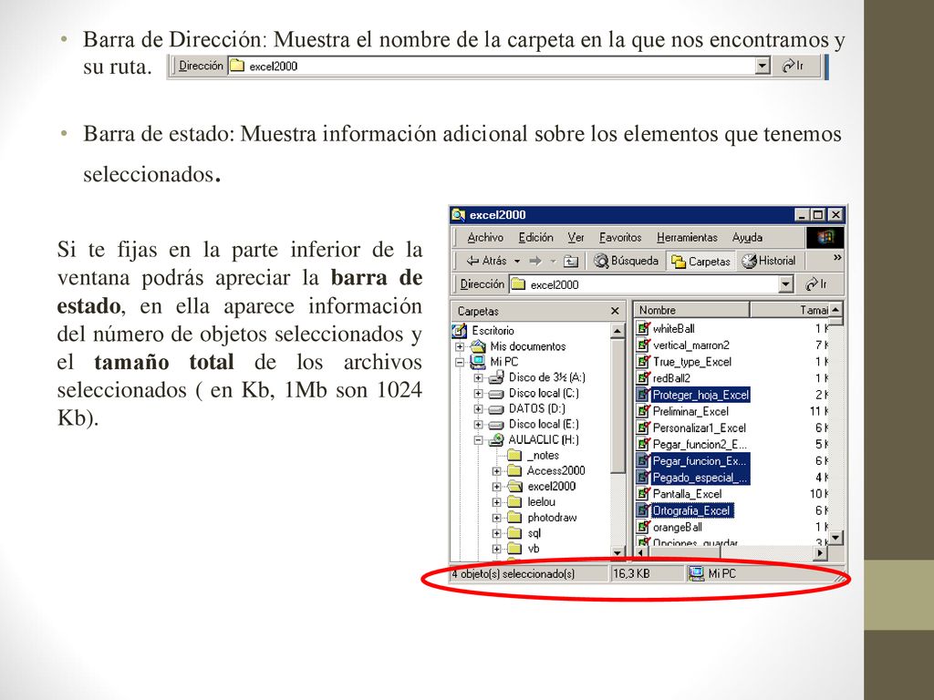 Barra de Dirección: Muestra el nombre de la carpeta en la que nos encontramos y su ruta.