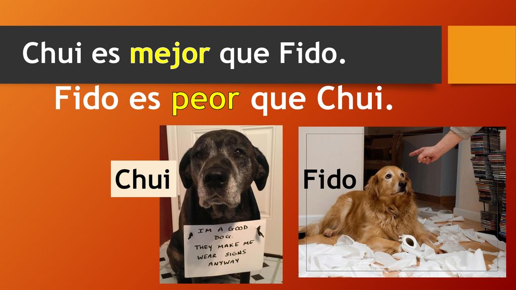 Chui es mejor que Fido. Fido es peor que Chui. Chui Fido