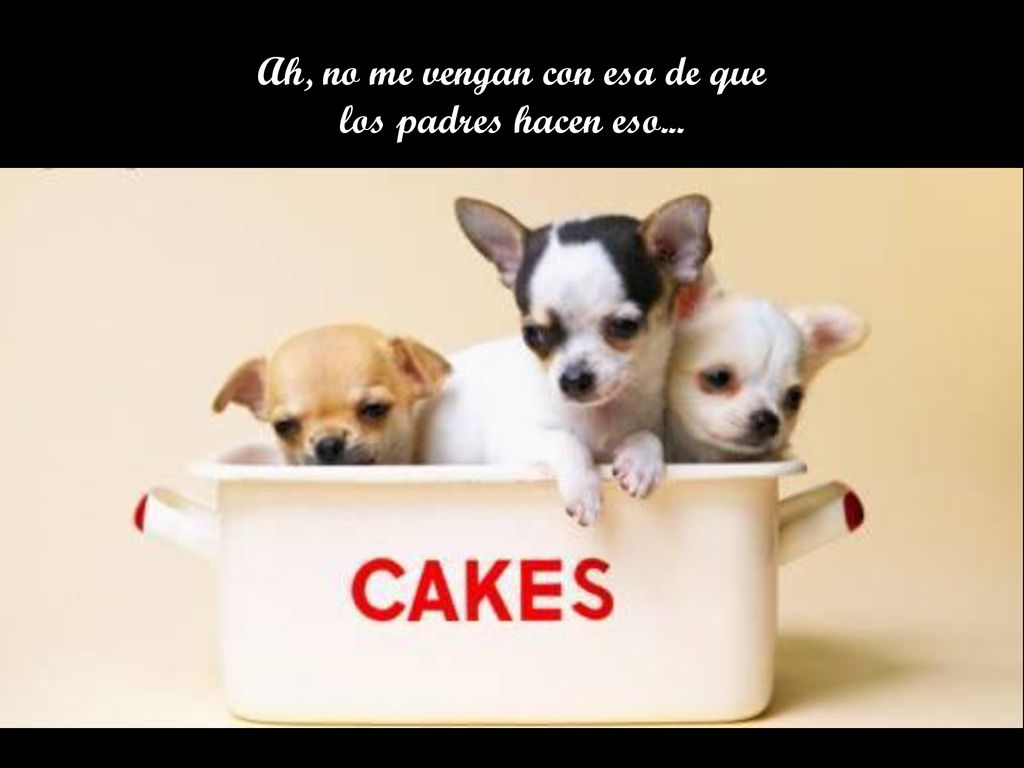 Ah, no me vengan con esa de que los padres hacen eso...