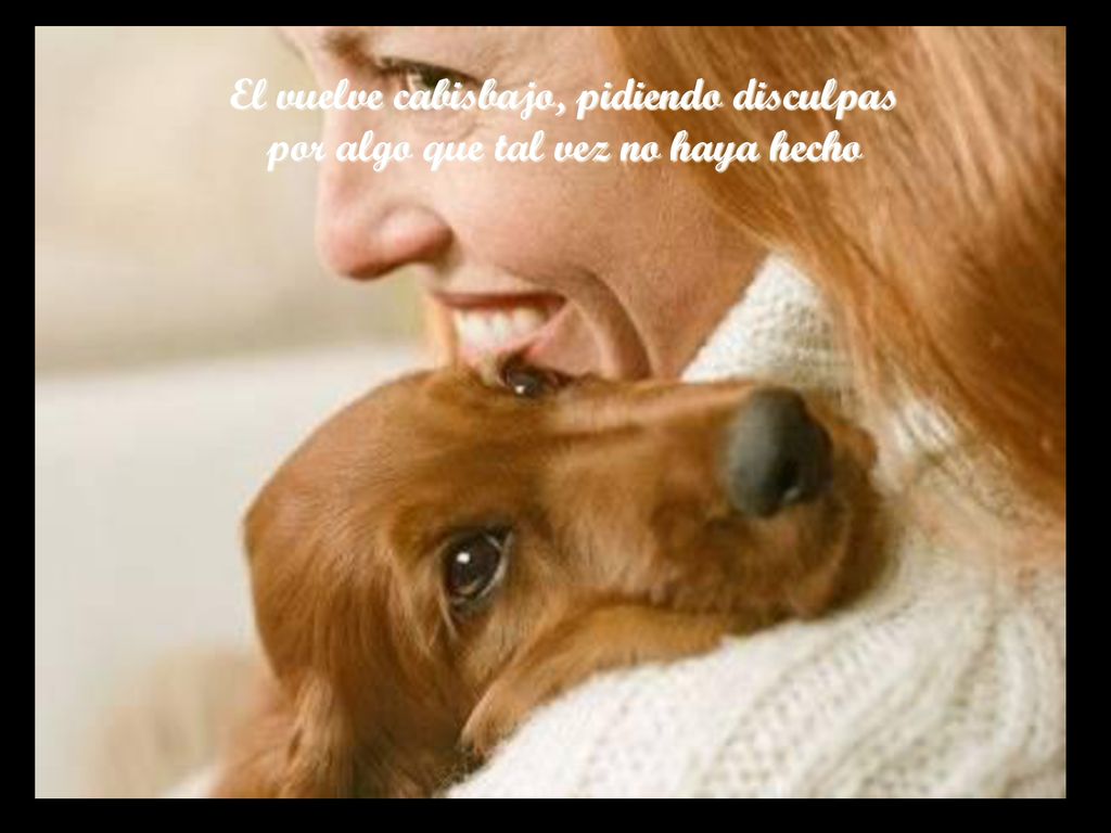 El vuelve cabisbajo, pidiendo disculpas por algo que tal vez no haya hecho