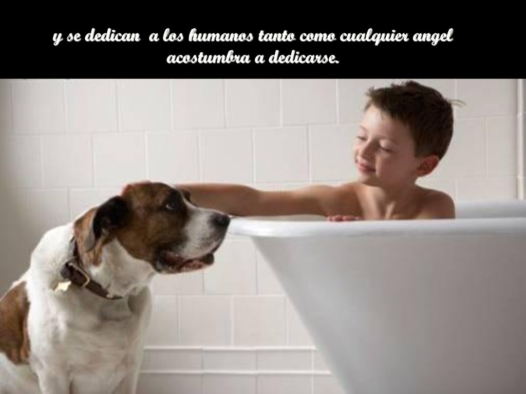 y se dedican a los humanos tanto como cualquier angel acostumbra a dedicarse.