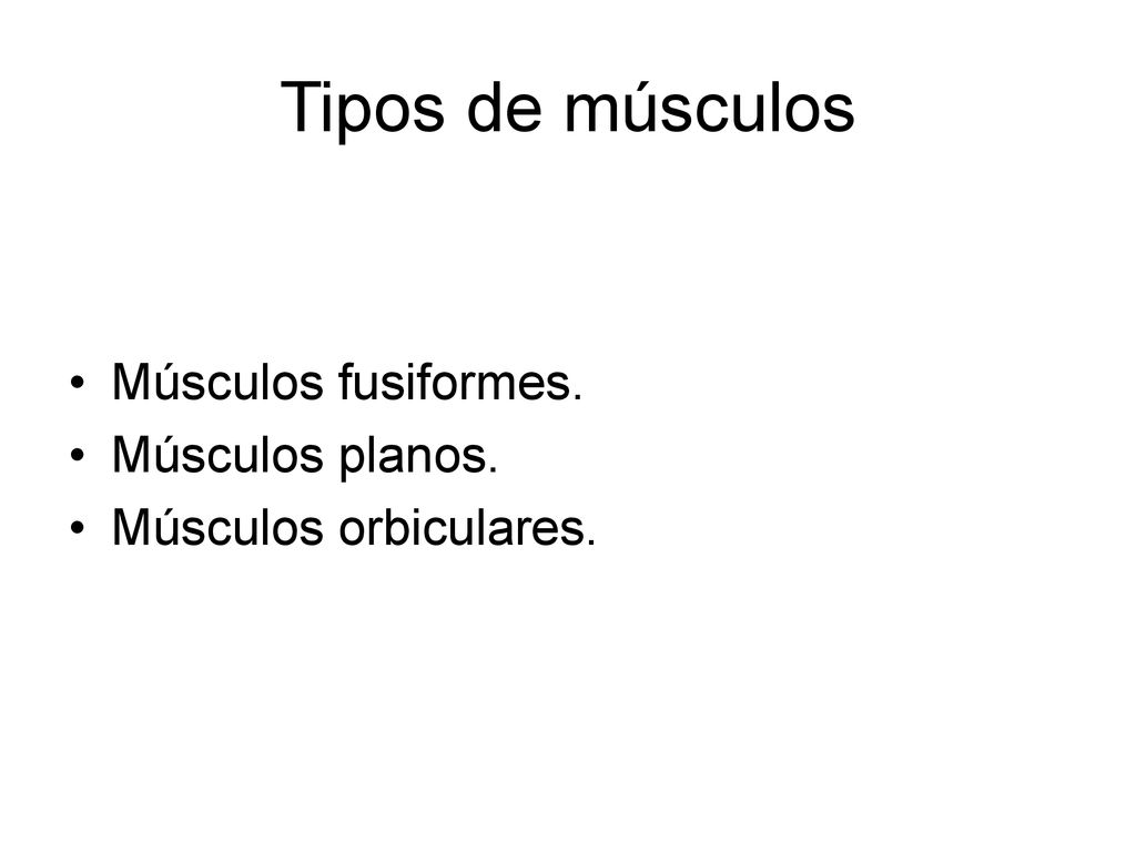 Tipos de músculos Músculos fusiformes. Músculos planos.