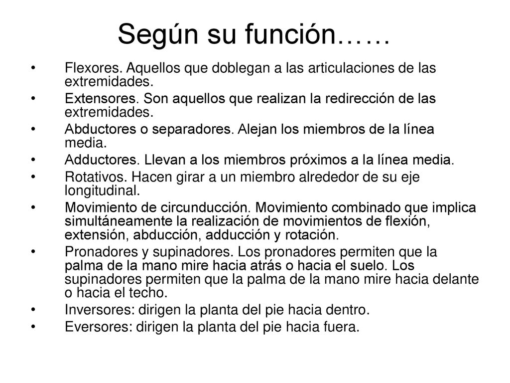 Según su función…… Flexores. Aquellos que doblegan a las articulaciones de las extremidades.