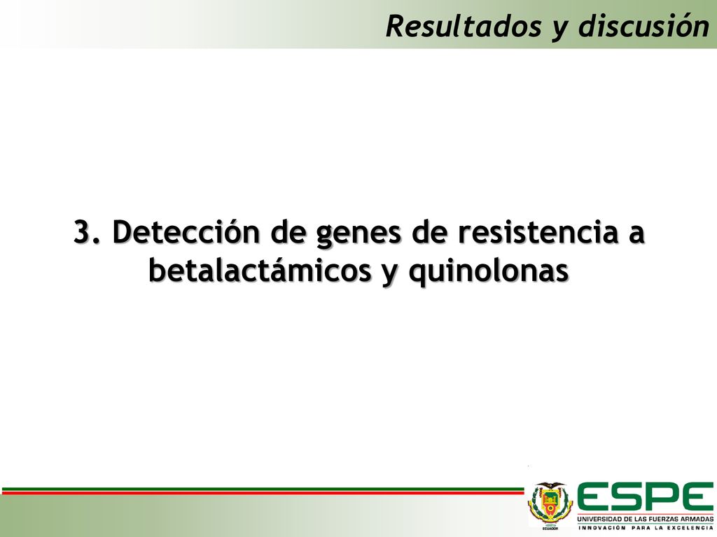 3. Detección de genes de resistencia a betalactámicos y quinolonas