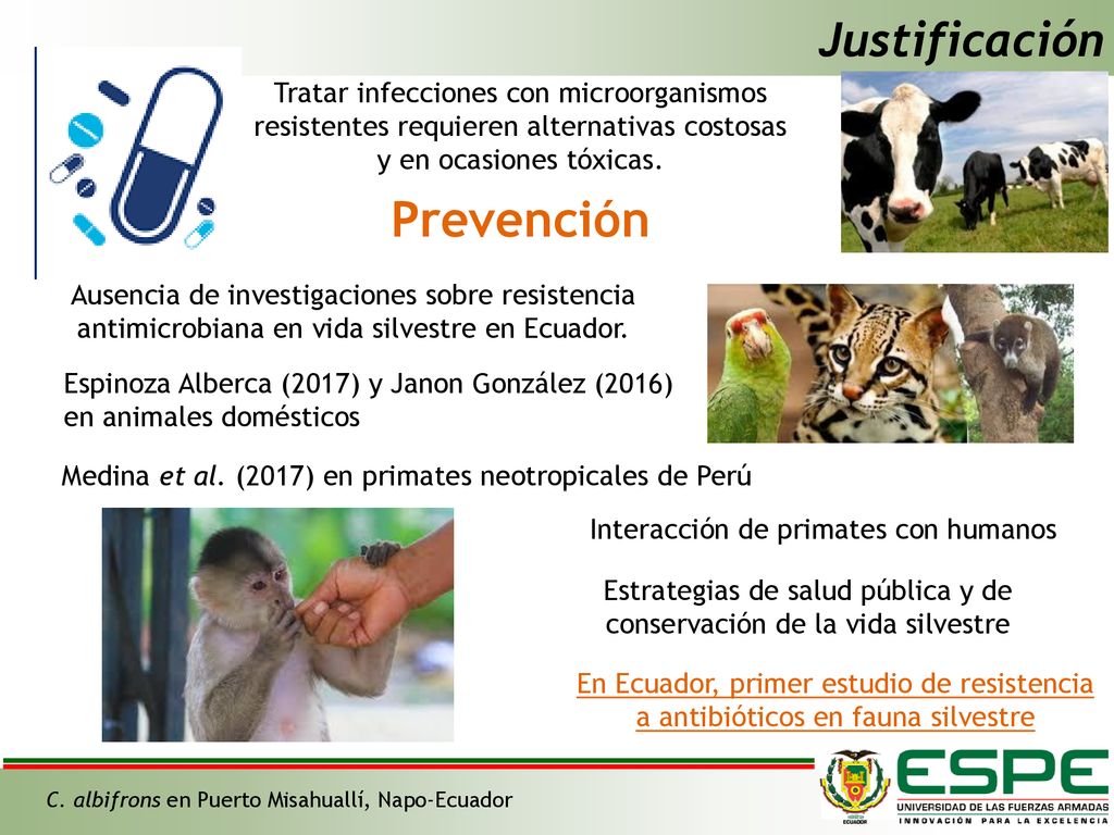 Estrategias de salud pública y de conservación de la vida silvestre