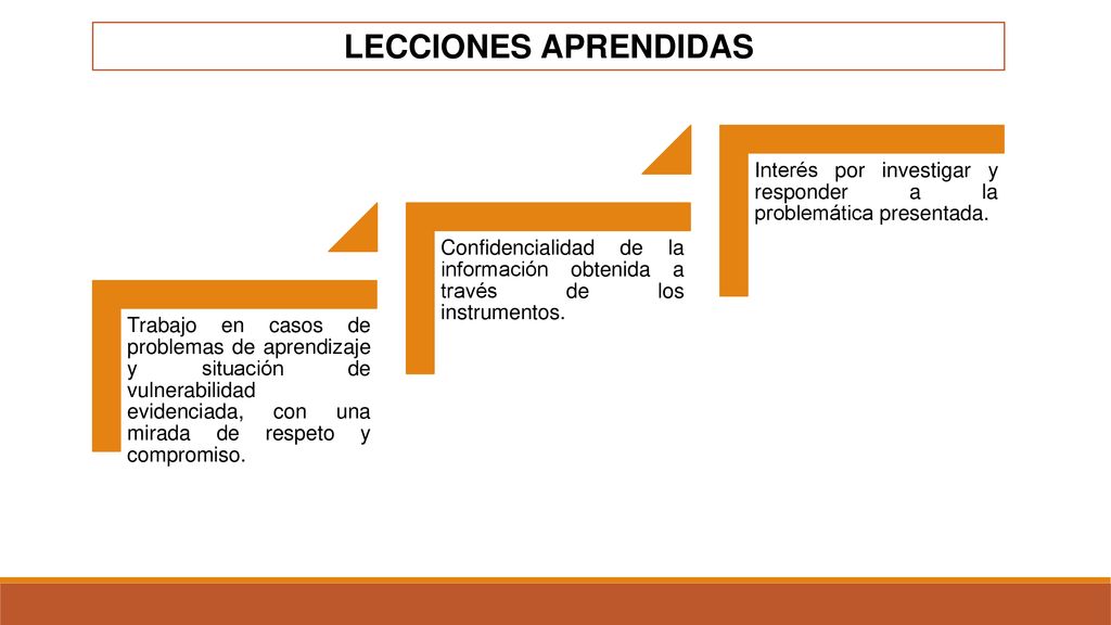 LECCIONES APRENDIDAS Trabajo en casos de problemas de aprendizaje y situación de vulnerabilidad evidenciada, con una mirada de respeto y compromiso.