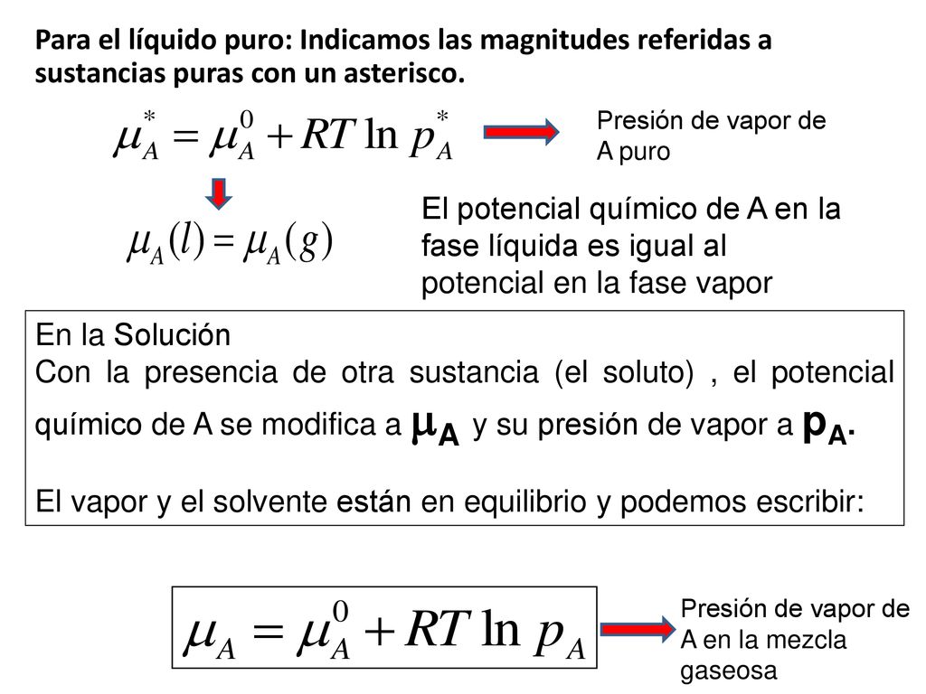 El vapor y el solvente están en equilibrio y podemos escribir: