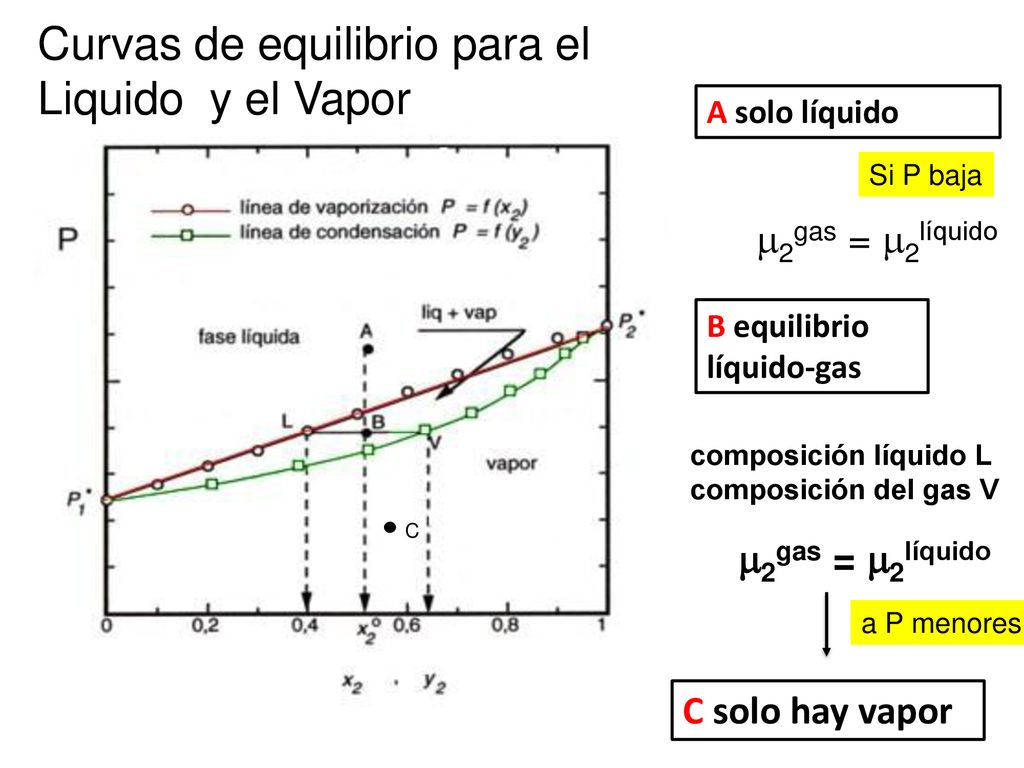 Curvas de equilibrio para el Liquido y el Vapor