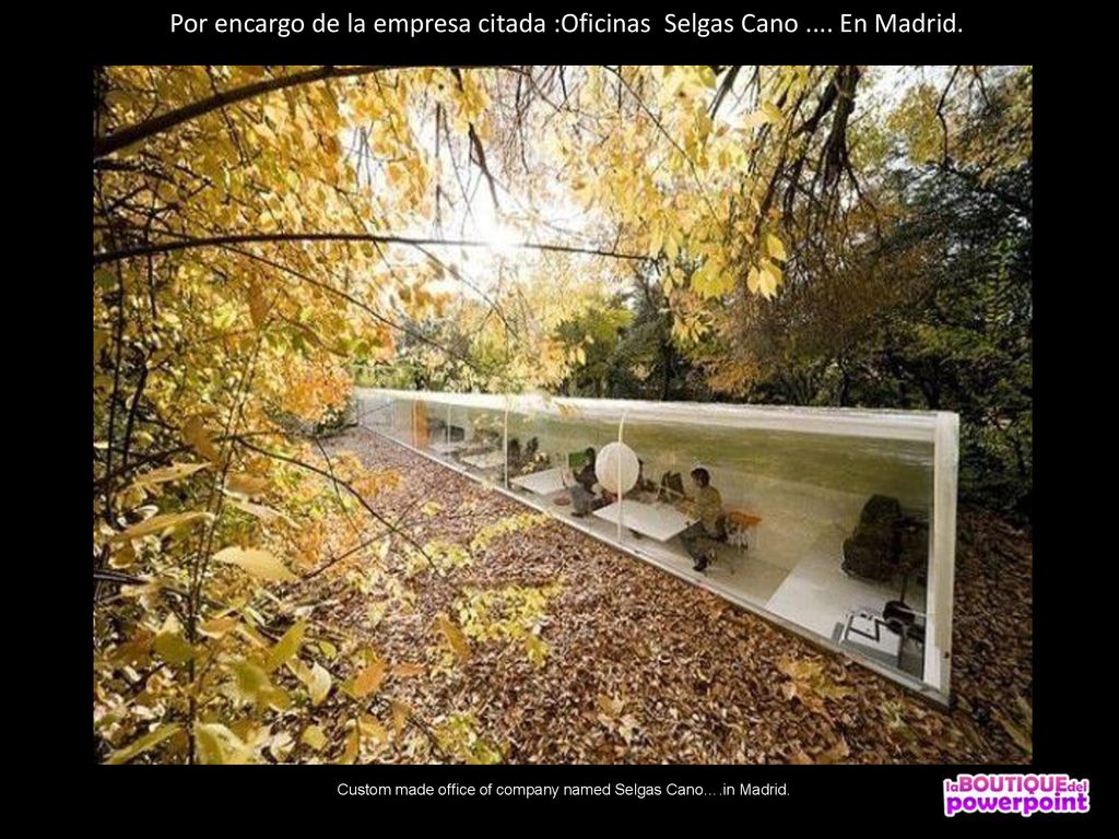 Por encargo de la empresa citada :Oficinas Selgas Cano .... En Madrid.