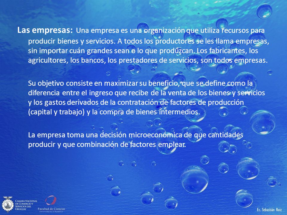 Las empresas: Una empresa es una organización que utiliza recursos para producir bienes y servicios. A todos los productores se les llama empresas, sin importar cuán grandes sean o lo que produzcan. Los fabricantes, los agricultores, los bancos, los prestadores de servicios, son todos empresas.