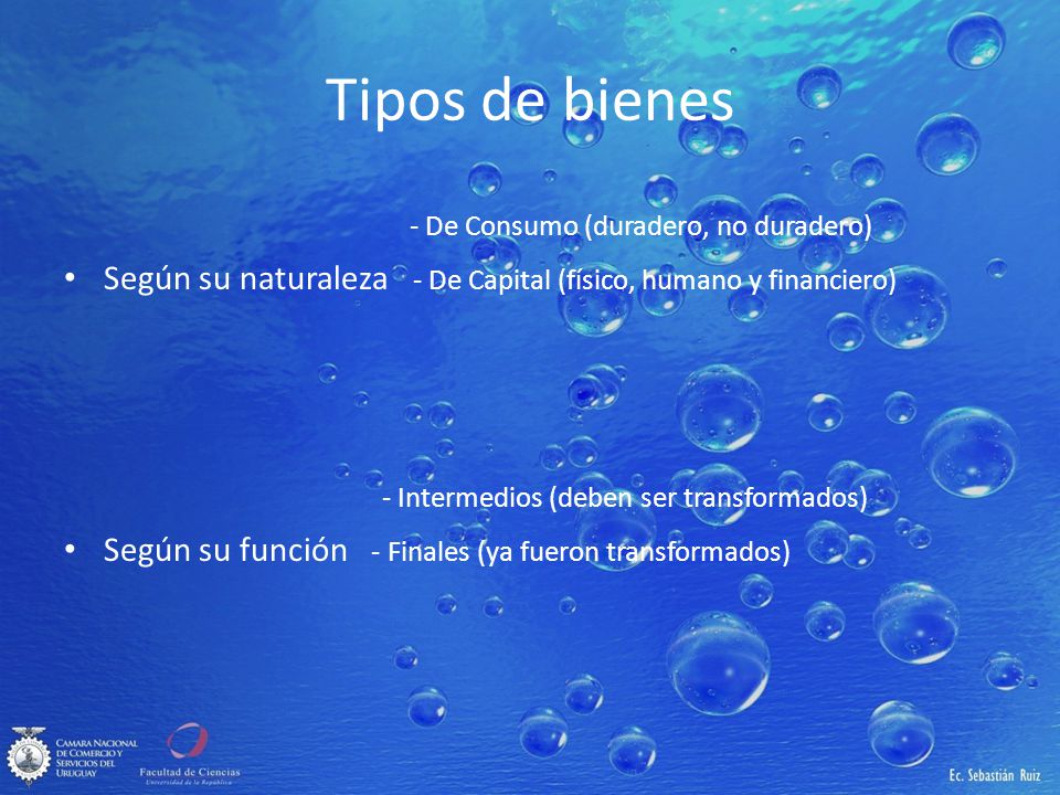 Tipos de bienes - De Consumo (duradero, no duradero) Según su naturaleza - De Capital (físico, humano y financiero)