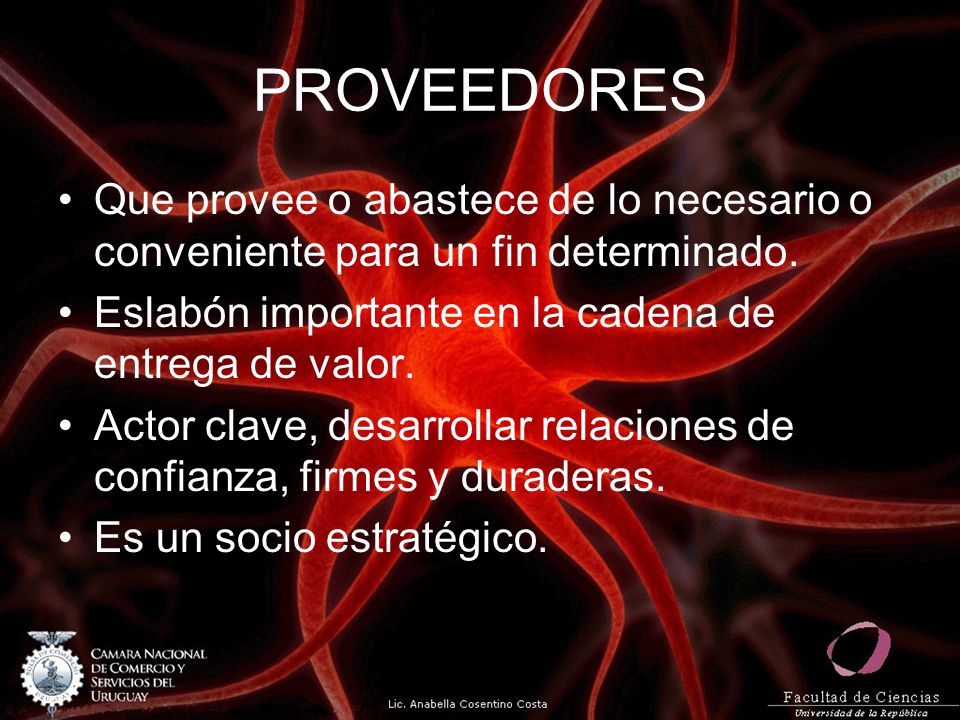 PROVEEDORES Que provee o abastece de lo necesario o conveniente para un fin determinado. Eslabón importante en la cadena de entrega de valor.