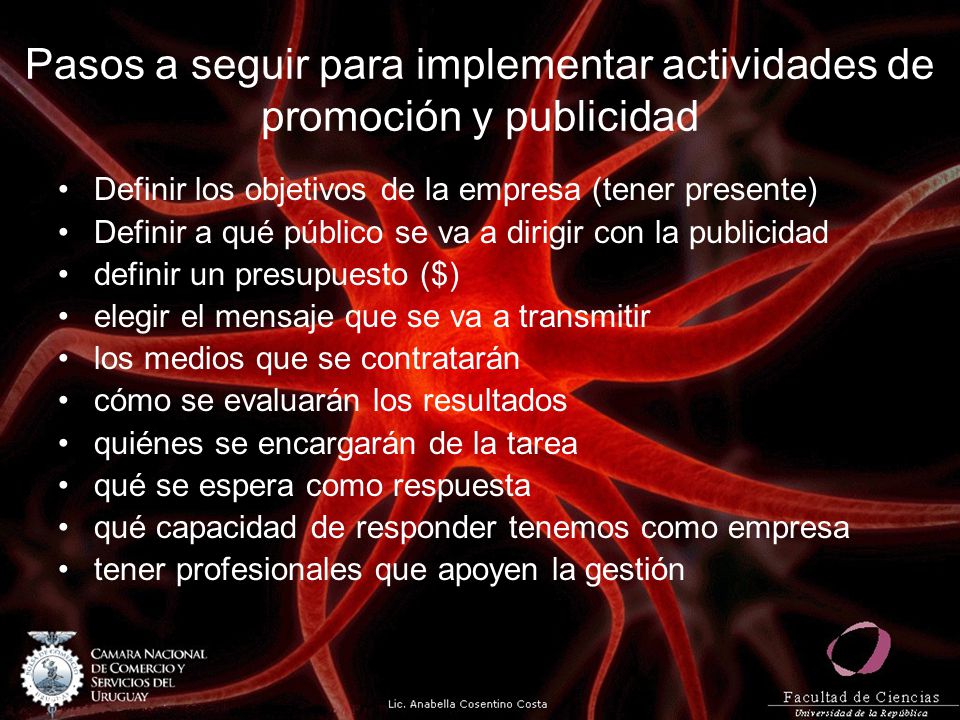 Pasos a seguir para implementar actividades de promoción y publicidad
