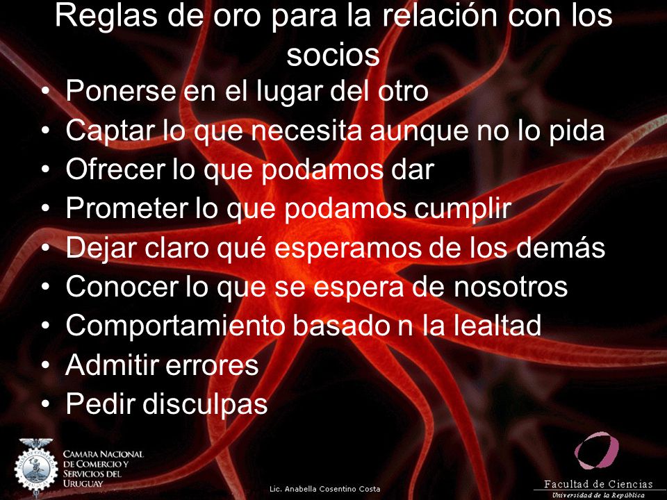 Reglas de oro para la relación con los socios