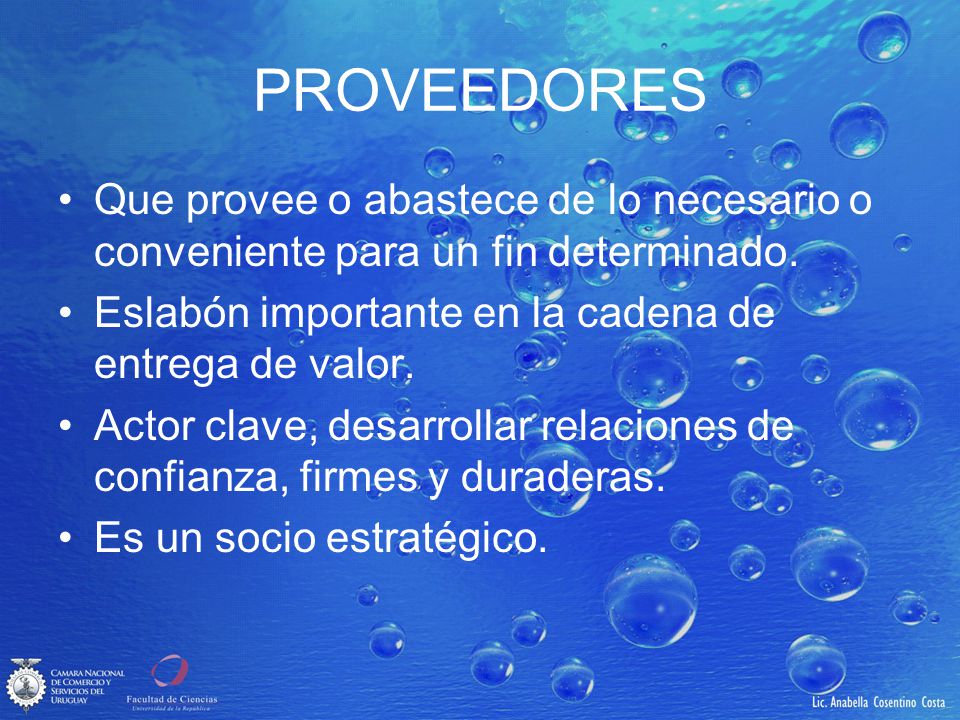 PROVEEDORES Que provee o abastece de lo necesario o conveniente para un fin determinado. Eslabón importante en la cadena de entrega de valor.