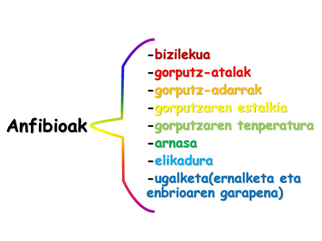 -bizilekua -gorputz-atalak -gorputz-adarrak -gorputzaren estalkia -gorputzaren tenperatura -arnasa -elikadura -ugalketa(ernalketa eta enbrioaren garapena)