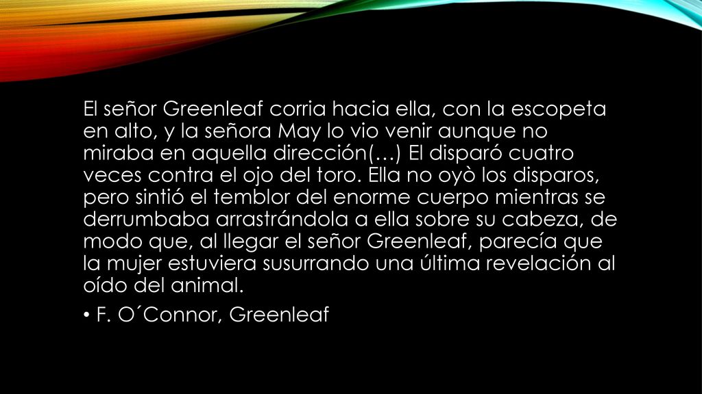 El señor Greenleaf corria hacia ella, con la escopeta en alto, y la señora May lo vio venir aunque no miraba en aquella dirección(…) El disparó cuatro veces contra el ojo del toro. Ella no oyò los disparos, pero sintió el temblor del enorme cuerpo mientras se derrumbaba arrastrándola a ella sobre su cabeza, de modo que, al llegar el señor Greenleaf, parecía que la mujer estuviera susurrando una última revelación al oído del animal.