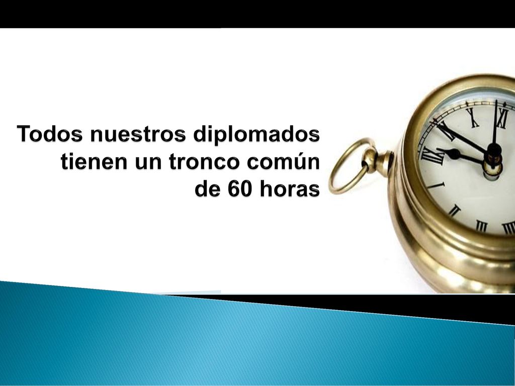 Todos nuestros diplomados tienen un tronco común de 60 horas
