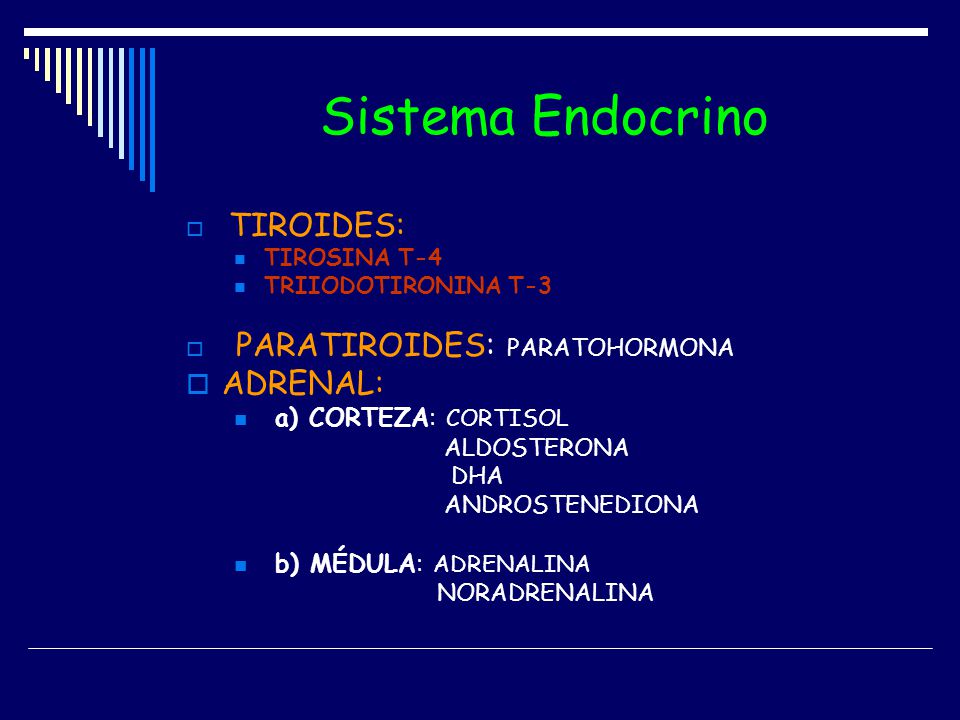 Sistema Endocrino ADRENAL: a) CORTEZA: CORTISOL b) MÉDULA: ADRENALINA