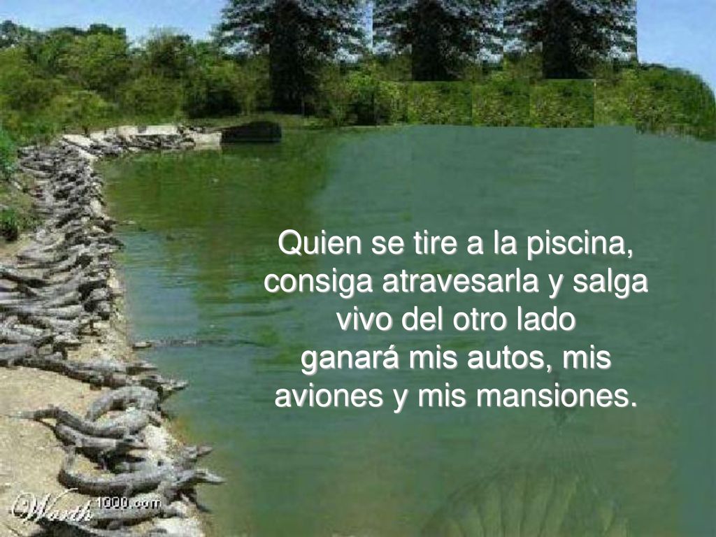 Quien se tire a la piscina, consiga atravesarla y salga vivo del otro lado ganará mis autos, mis aviones y mis mansiones.