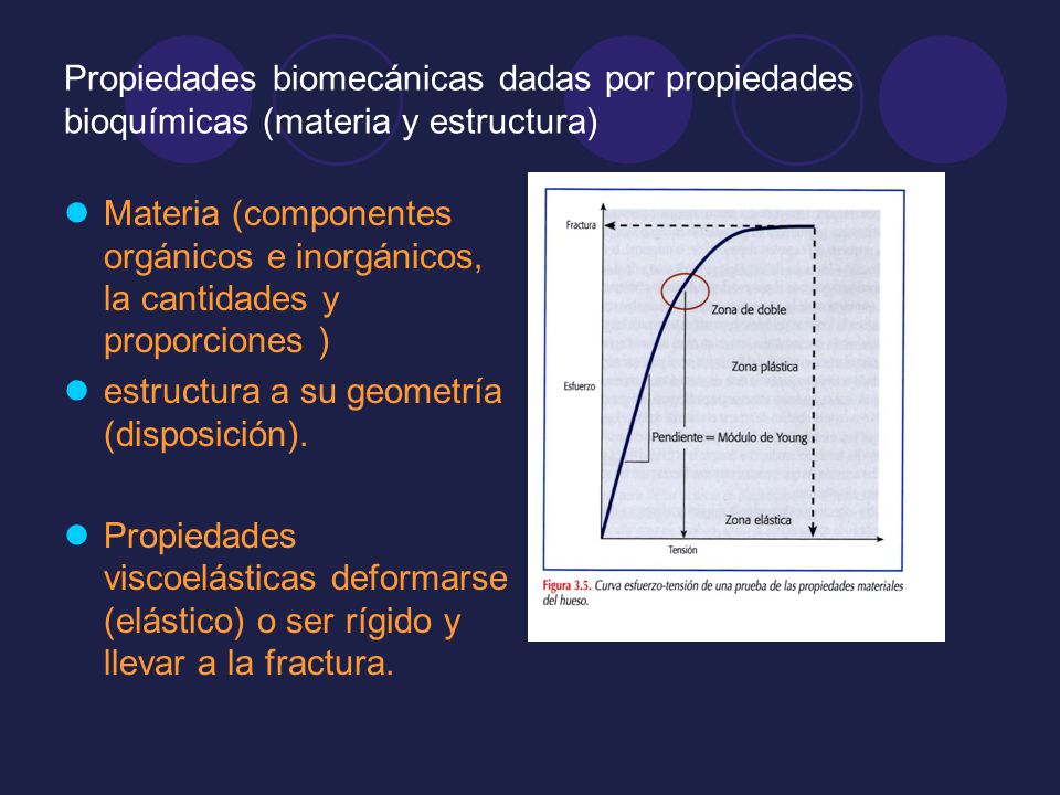 Propiedades biomecánicas dadas por propiedades bioquímicas (materia y estructura)