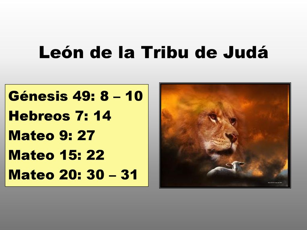 León de la Tribu de Judá Génesis 49: 8 – 10 Hebreos 7: 14 Mateo 9: 27