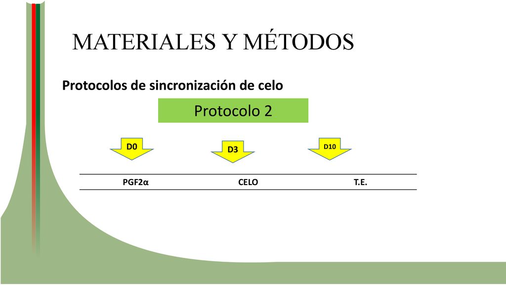 MATERIALES Y MÉTODOS Protocolo 2 Protocolos de sincronización de celo