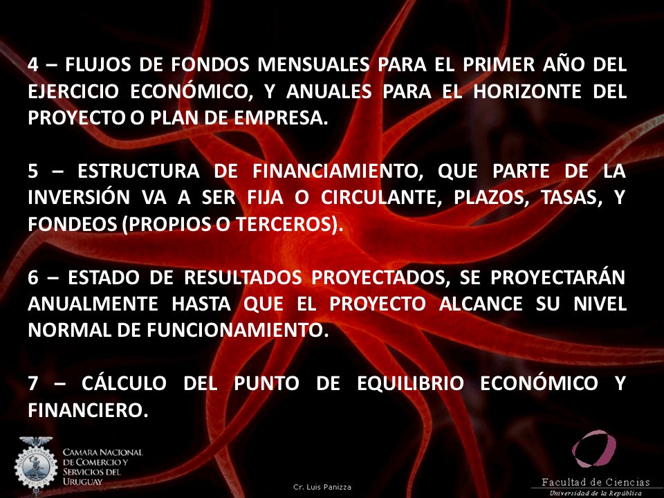 4 – FLUJOS DE FONDOS MENSUALES PARA EL PRIMER AÑO DEL EJERCICIO ECONÓMICO, Y ANUALES PARA EL HORIZONTE DEL PROYECTO O PLAN DE EMPRESA.