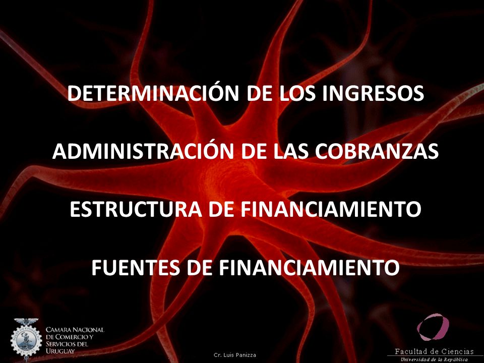DETERMINACIÓN DE LOS INGRESOS ADMINISTRACIÓN DE LAS COBRANZAS