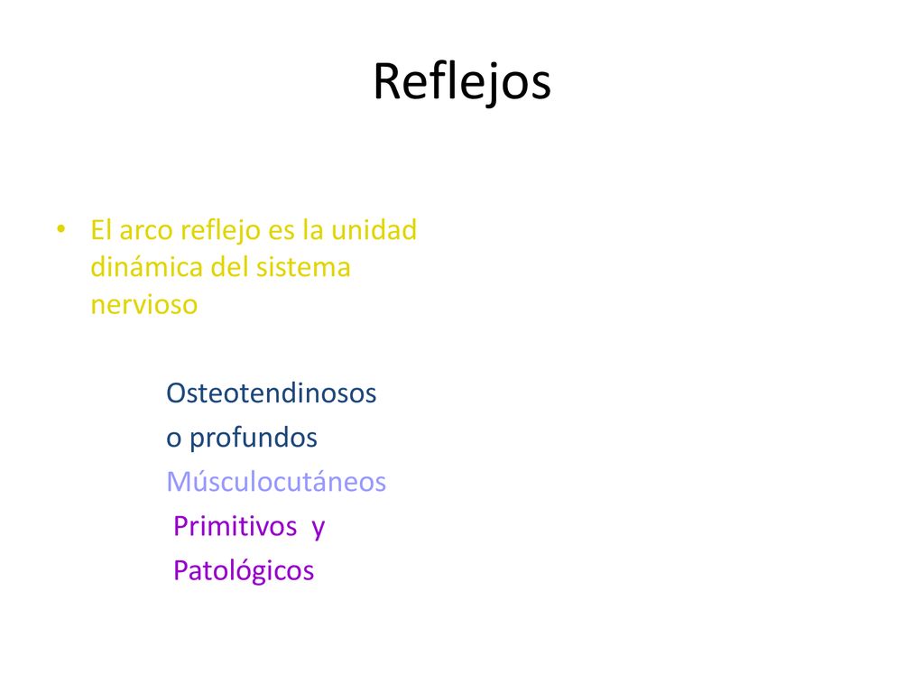 Reflejos El arco reflejo es la unidad dinámica del sistema nervioso