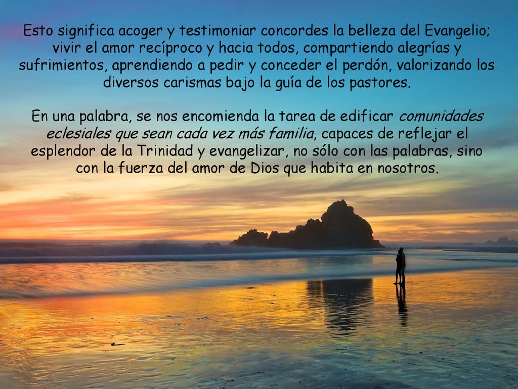Esto significa acoger y testimoniar concordes la belleza del Evangelio; vivir el amor recíproco y hacia todos, compartiendo alegrías y sufrimientos, aprendiendo a pedir y conceder el perdón, valorizando los diversos carismas bajo la guía de los pastores.