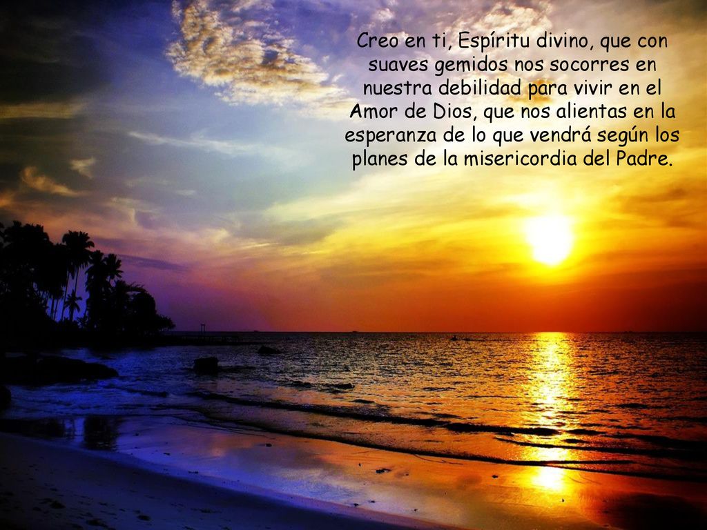 Creo en ti, Espíritu divino, que con suaves gemidos nos socorres en nuestra debilidad para vivir en el Amor de Dios, que nos alientas en la esperanza de lo que vendrá según los planes de la misericordia del Padre.