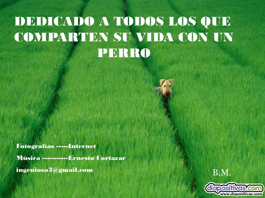 DEDICADO A TODOS LOS QUE COMPARTEN SU VIDA CON UN . PERRO