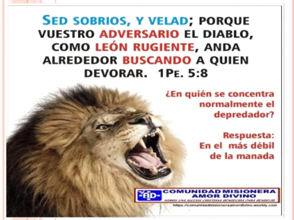 Tema para hoy: VICTORIA SOBRE AMALEC Domingo junio 9 de 2019