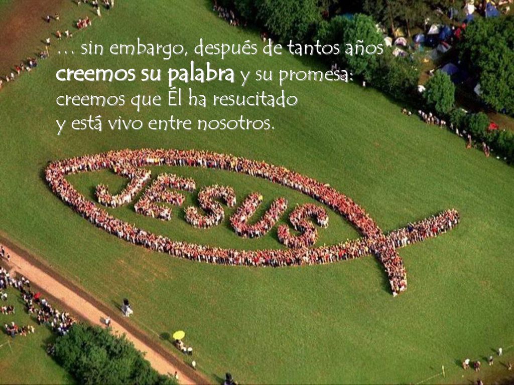 … sin embargo, después de tantos años creemos su palabra y su promesa: creemos que Él ha resucitado y está vivo entre nosotros.