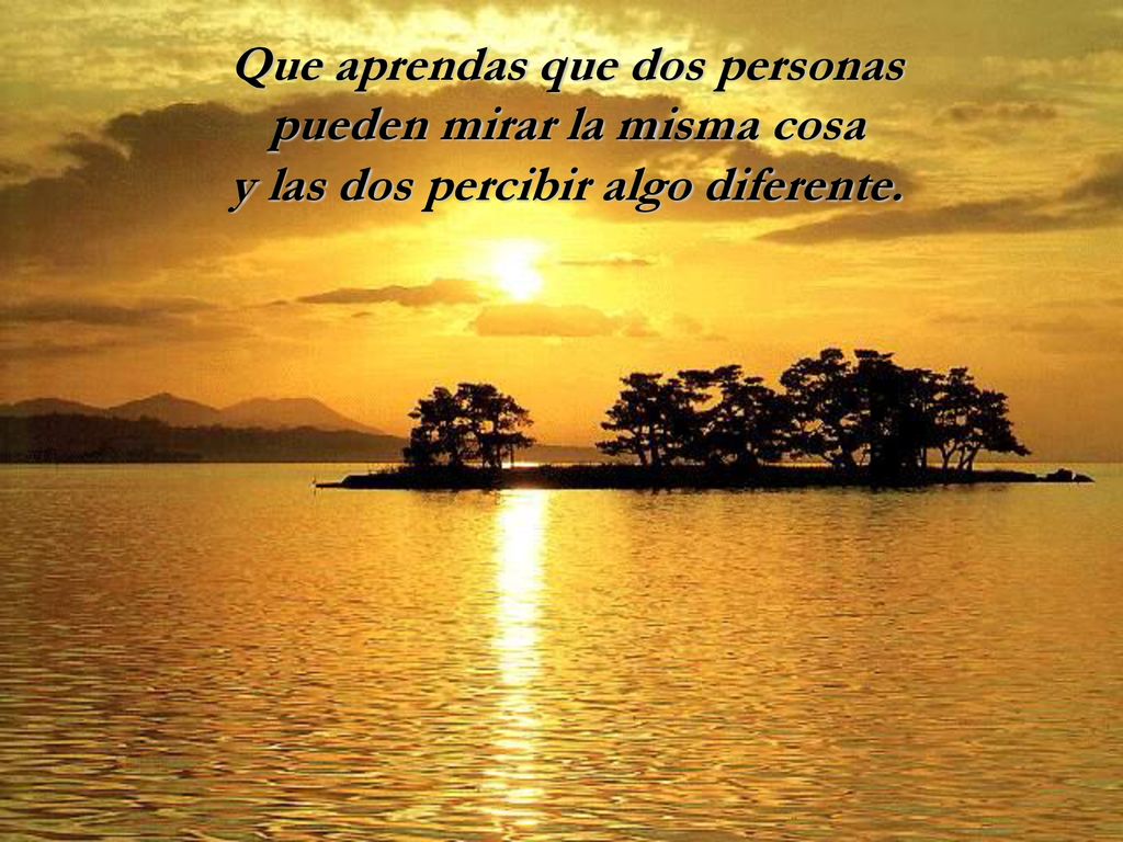 Que aprendas que dos personas pueden mirar la misma cosa
